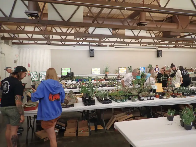 Scaled image P4124217.webp 