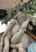Thumbnail 1000005676_new.webp 