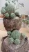 Thumbnail 1000005685_new.webp 