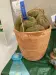 Thumbnail IMG_6935.webp 
