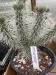 Thumbnail IMG_6984.webp 