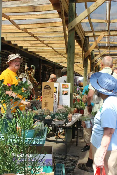 Scaled image IMG_8798.webp 