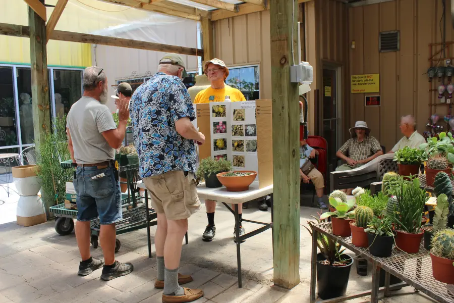 Scaled image IMG_8816.webp 