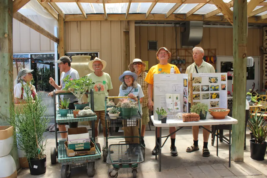 Scaled image IMG_8817.webp 