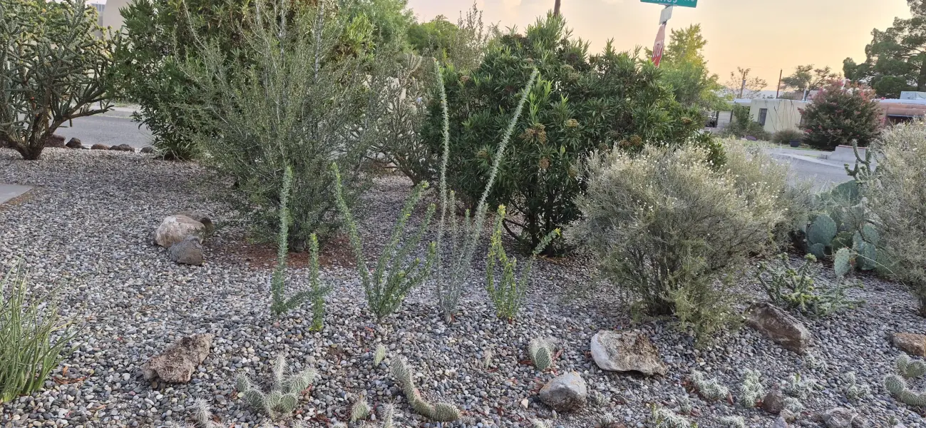 Scaled image 3-F-5.webp 