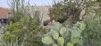 Thumbnail 3-F-4.webp 